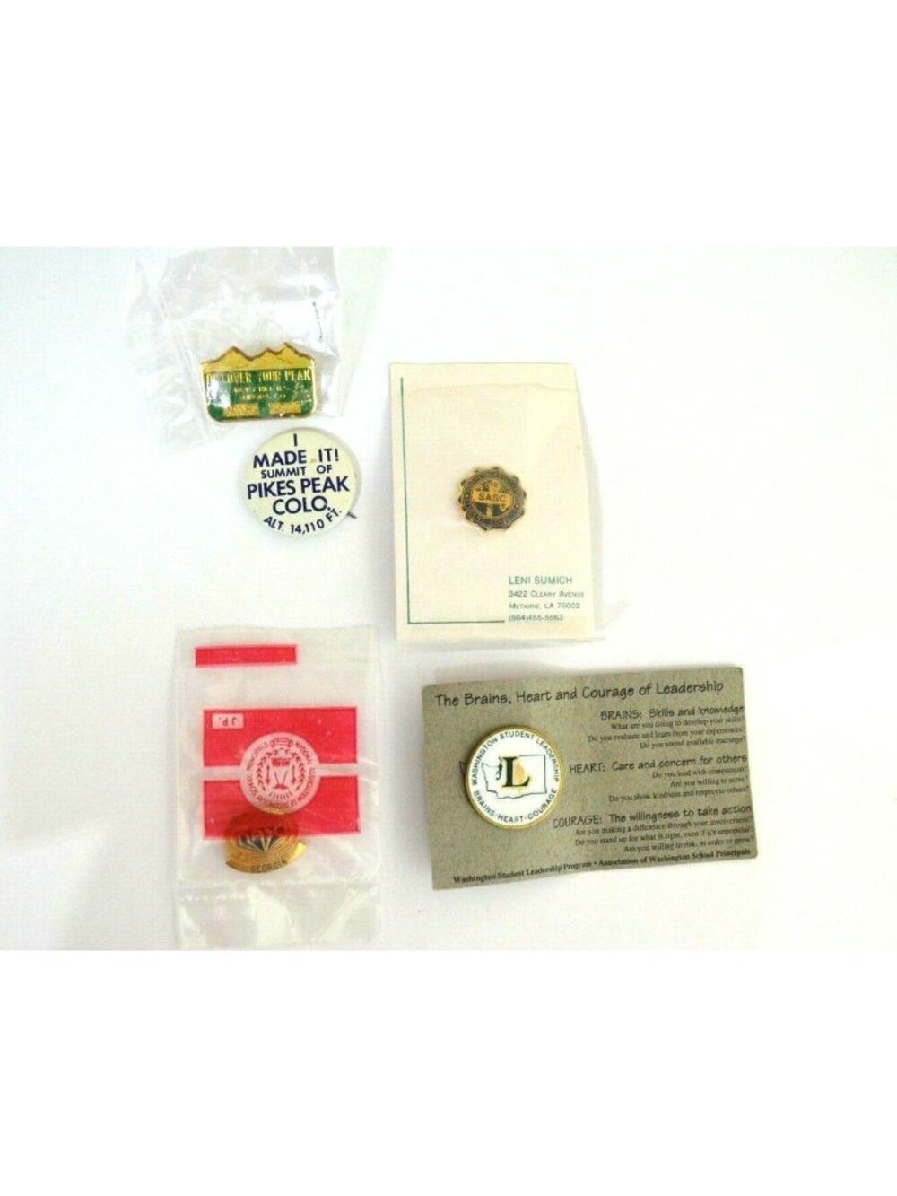 Student Council Pin Lot National Association Pikes Smoky Peak Leadership Lapel